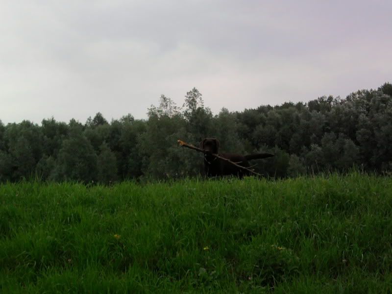 Foto0614.jpg