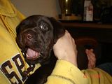 th_DSC00894.jpg