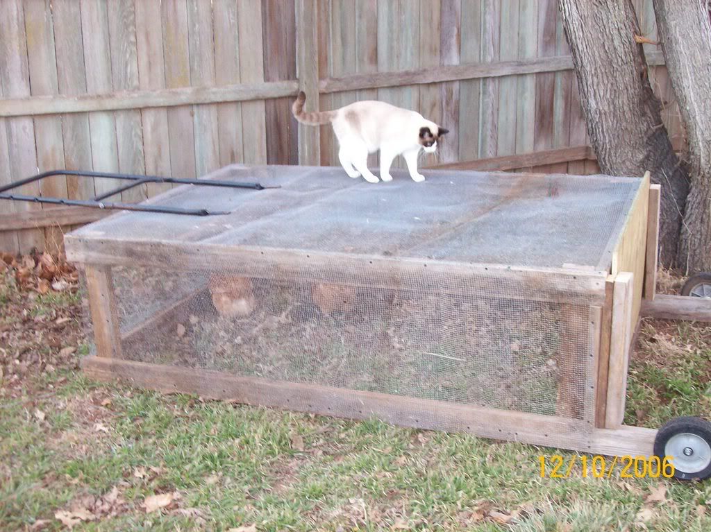 Predatorproofing the chicken tractor BackYard Chickens Learn How