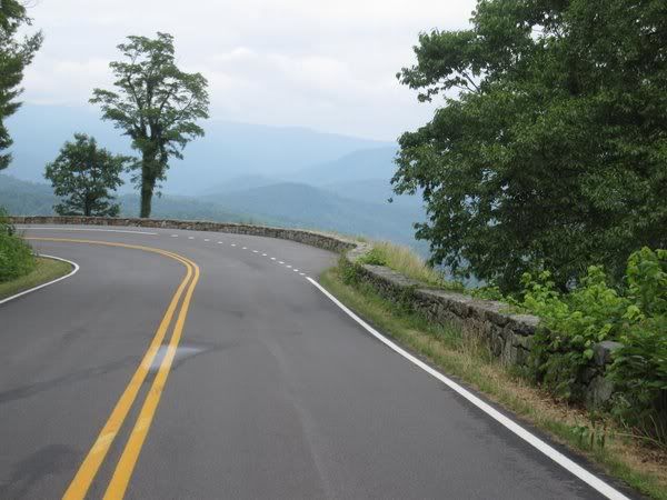 IMG_4919.jpg