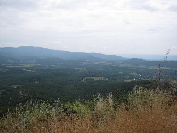 IMG_5004.jpg