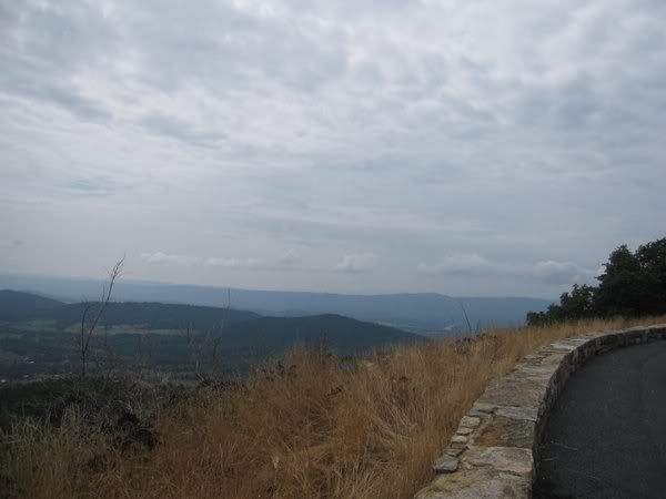 IMG_5005.jpg