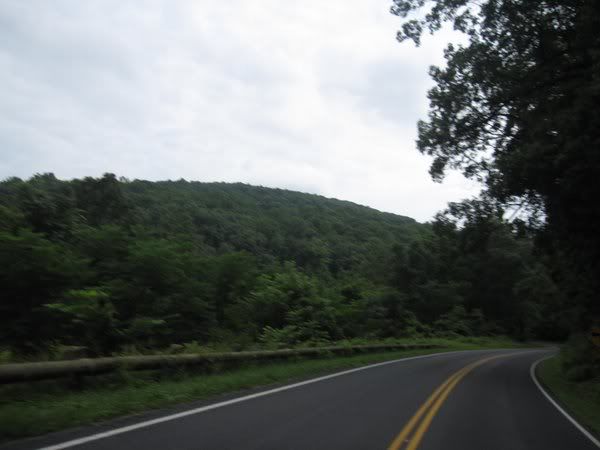 IMG_5041.jpg