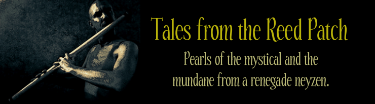 Tales from the Reed Patch!