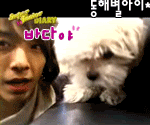 DongHae