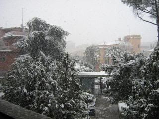 033.jpg neve Roma 2010 picture by rosalpina
