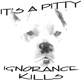 IgnoranceKills-1.png