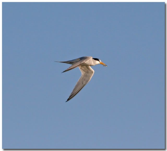 IMAGE: http://i162.photobucket.com/albums/t269/done_photo/a12-2.jpg