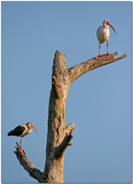 IMAGE: http://i162.photobucket.com/albums/t269/done_photo/a13-2.jpg