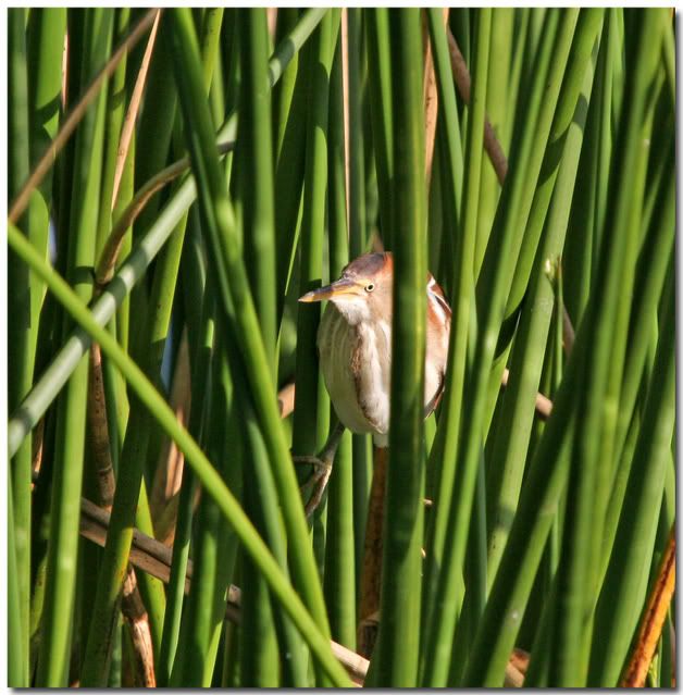 IMAGE: http://i162.photobucket.com/albums/t269/done_photo/a16-2.jpg