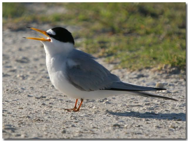 IMAGE: http://i162.photobucket.com/albums/t269/done_photo/a19.jpg