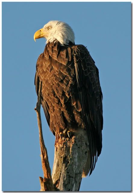 IMAGE: http://i162.photobucket.com/albums/t269/done_photo/a2-3.jpg