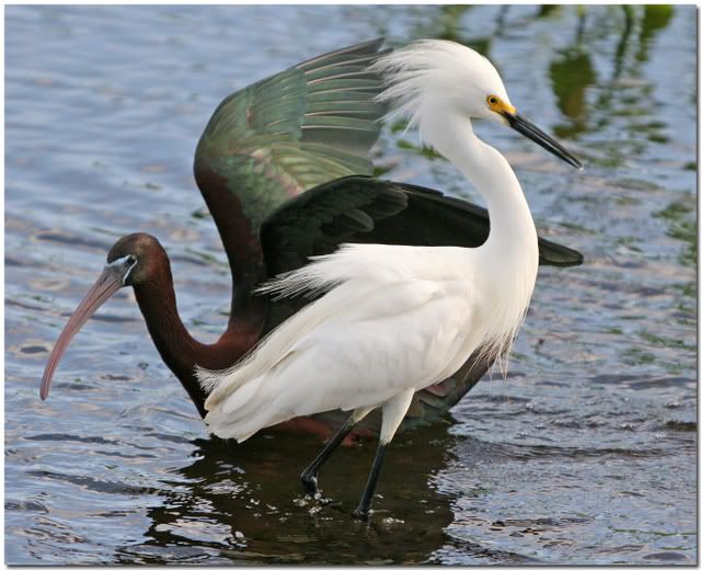 IMAGE: http://i162.photobucket.com/albums/t269/done_photo/a4-3.jpg