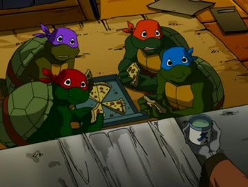 Mini turtles