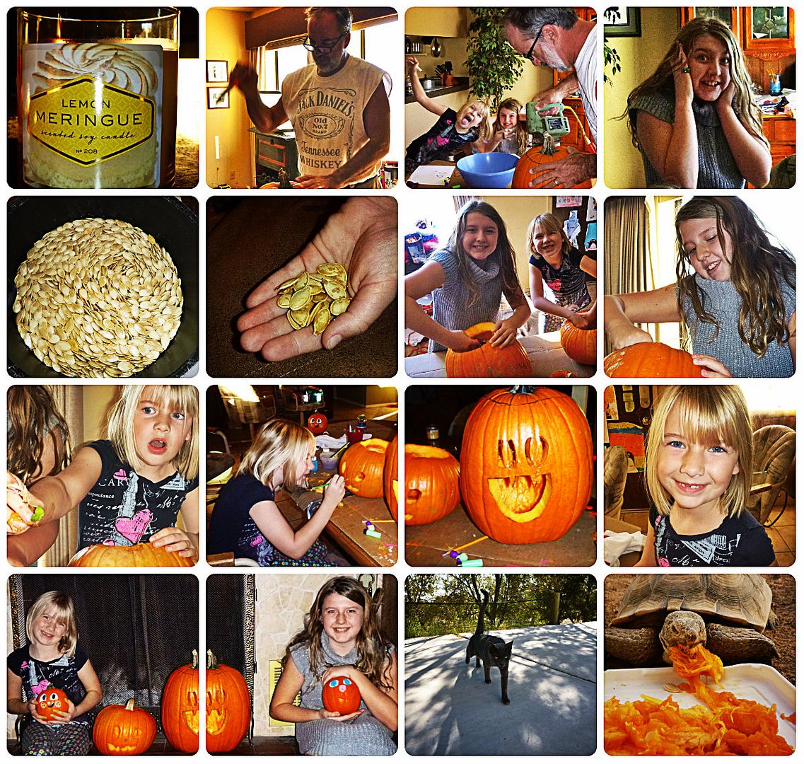 Halloween 2013 photo Halloween2013collage_zpsec49f005.jpg