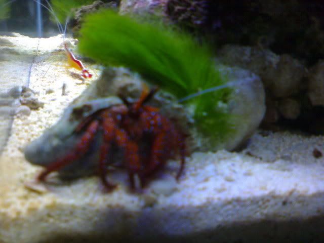 DSC00818-1.jpg