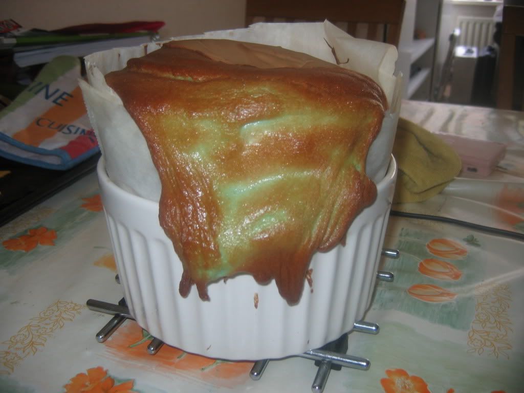 http://i162.photobucket.com/albums/t271/noussie11/IMG_5150.jpg