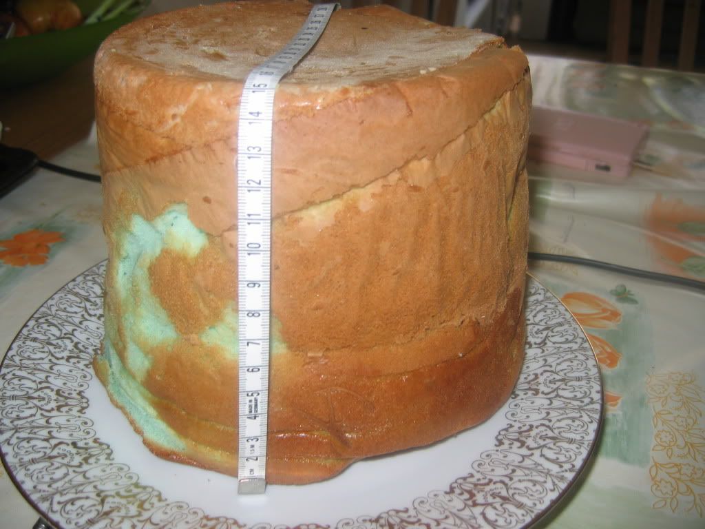http://i162.photobucket.com/albums/t271/noussie11/IMG_5151.jpg
