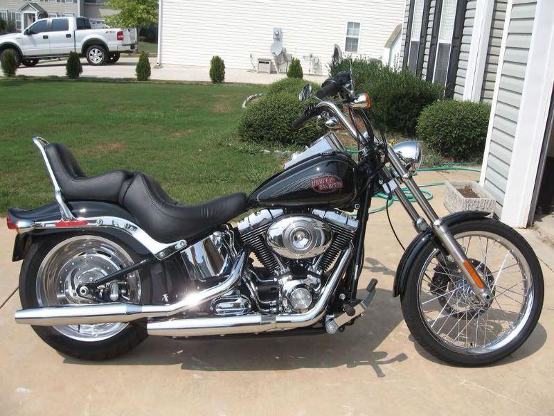 Stock Seat and Sissy Bar off '08 Softail Custom Harley Davidson Forums