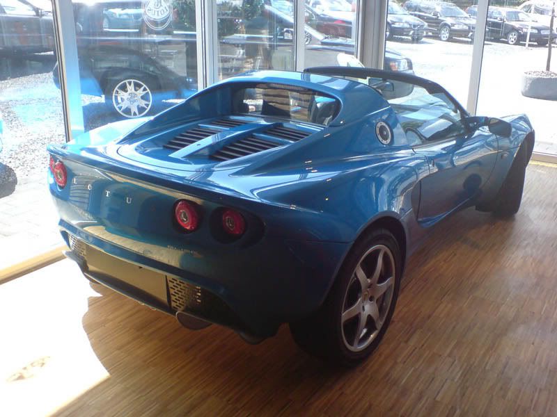 Elise2.jpg