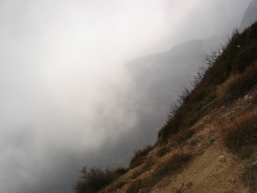 DSC00146.jpg