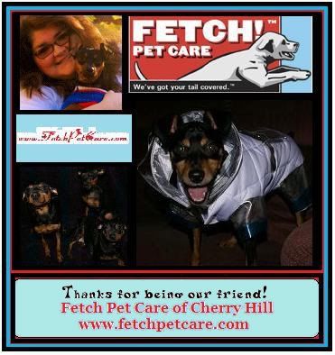Fetch Ad