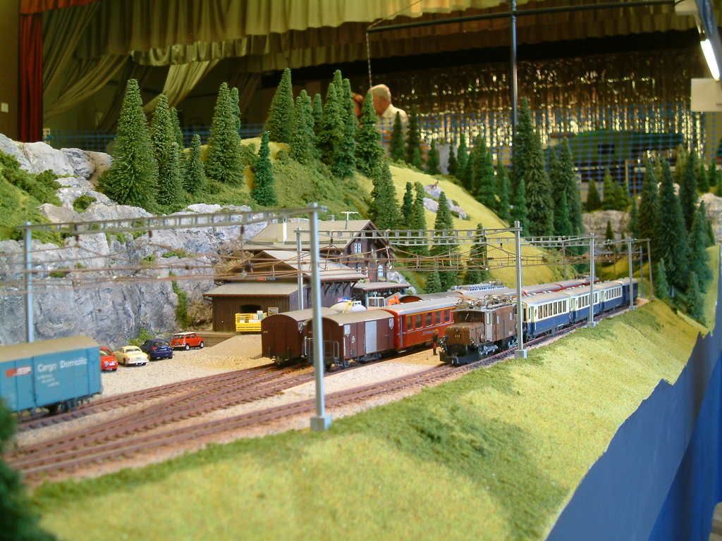 Swiss HOm layout Model Rail Forum
