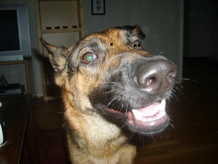 -GRIN-.jpg