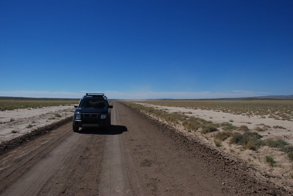 The Current State Of My Element Honda Element Owners Club