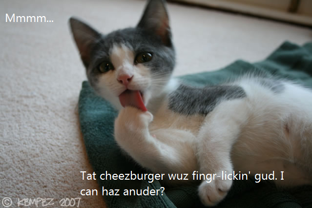 cheezburger2.png