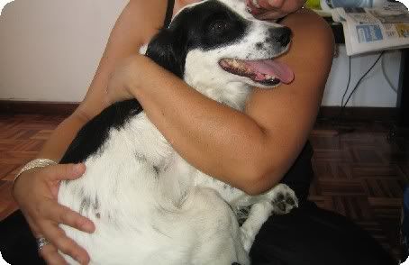 Imagem
