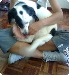 Imagem