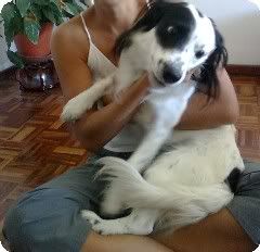 Imagem