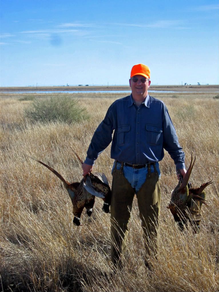 TEXAS panhandle pheasant hunts!! Ballinger Texas Hunting Forum