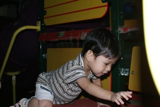DSC01568.jpg picture by bravesteven