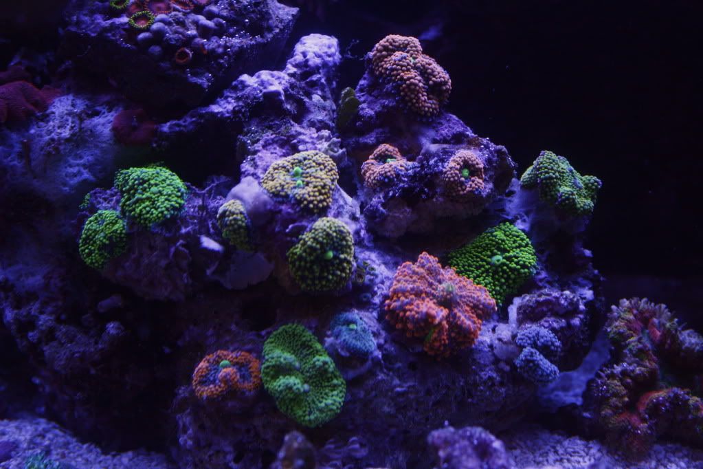 _MG_7813.jpg