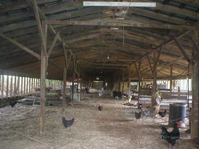 Let's See Some Pictures of Your Place - PART TWO - - Homesteading Questions