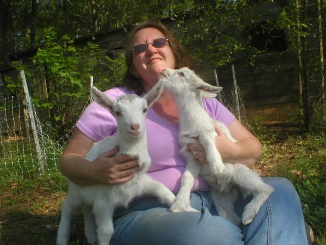 I got 'em!!!!! - Goats