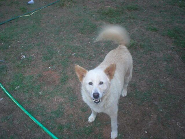 Very, very disconcerting!! - Countryside Families