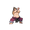 [PokeCommunity.com] Gym Leaders