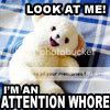 Funny-25.jpg attention whore image by Hannacaycee