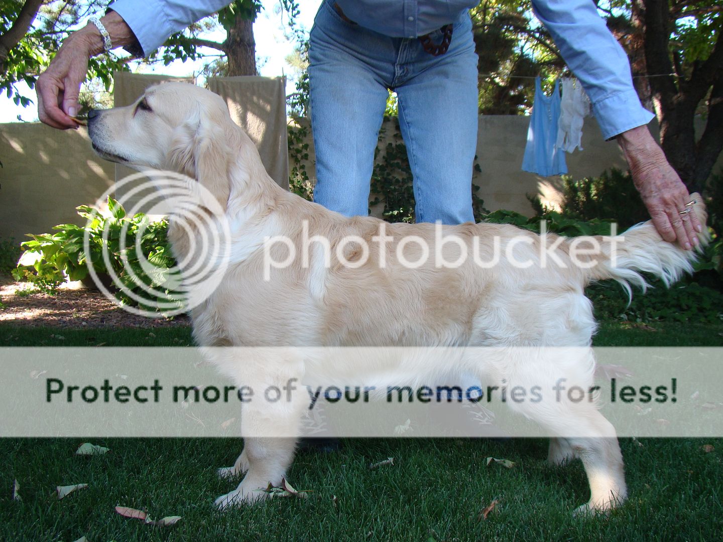 Photobucket - Video and Image Hosting