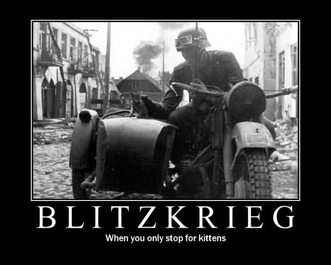 https://i162.photobucket.com/albums/t270/justinalicmann/Misc/blitzkrieg_Kittens2801_229.jpg